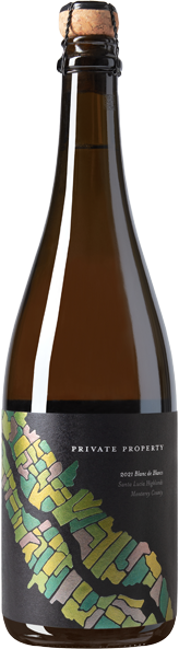 Product Image for 2022 Blanc de Blancs
